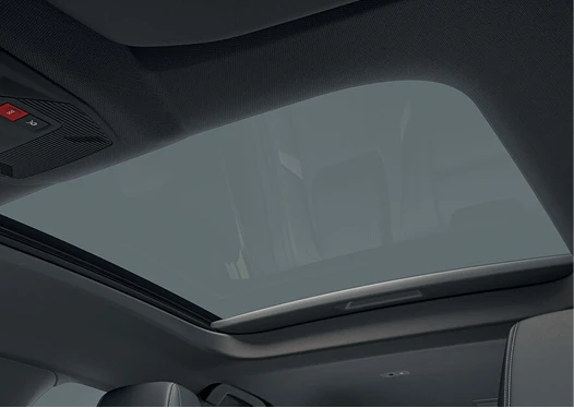 Signature Opel Vizor®