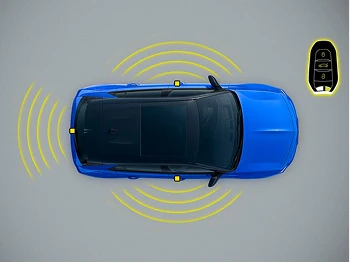 Contrasting black roof