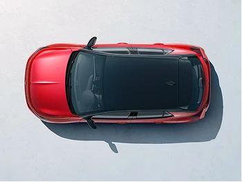 Contrasting black roof