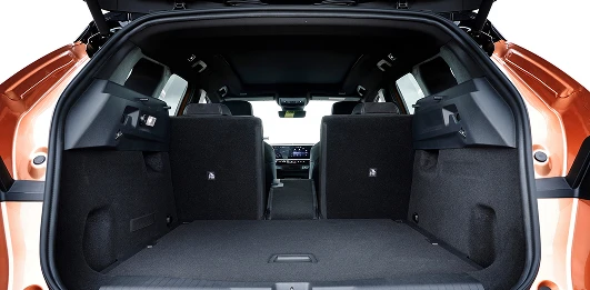 So much flexible trunk space